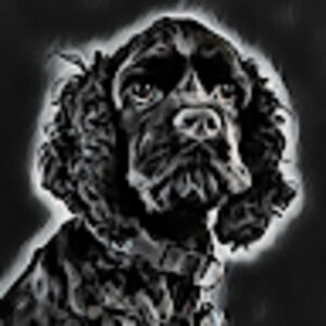 Meet your Posher, Jc